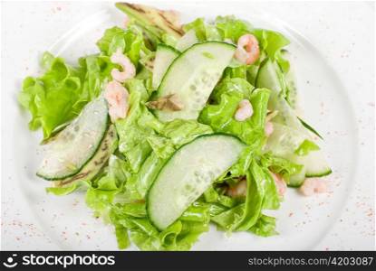 shrimp salad with cucumber and avocado
