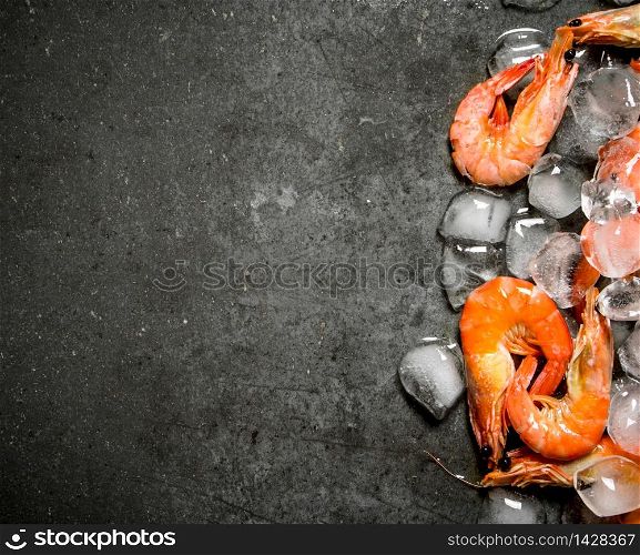 Shrimp with ice . On a stone background.. Shrimp with ice .