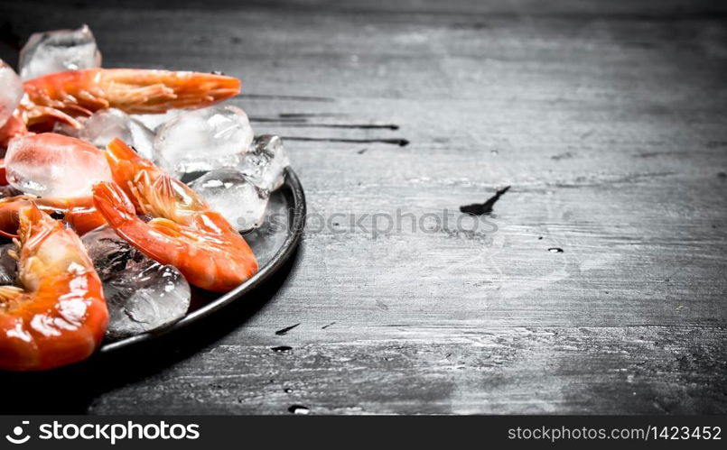 Shrimp with ice on the plate. On the black chalkboard.. Shrimp with ice on the plate.