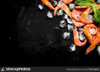 Shrimp with pieces of ice. On the black board.. Shrimp with pieces of ice.