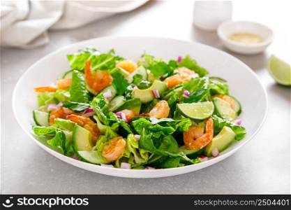 Shrimps avocado salad with cucumbers and lettuce