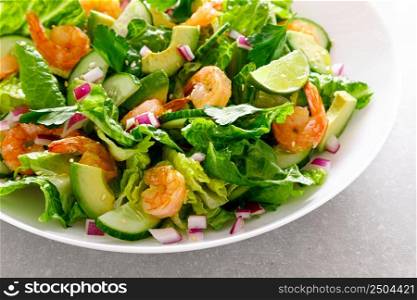 Shrimps avocado salad with cucumbers and lettuce