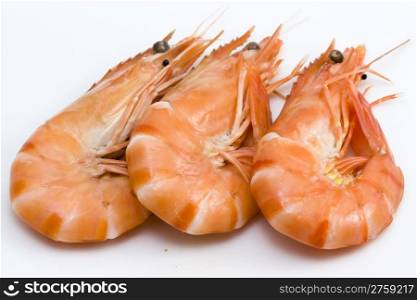 shrimps. background photo of three fresh isolated shrimps