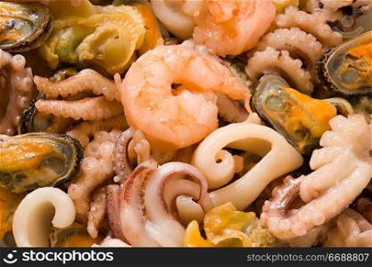 Shrimps, mussels, octopuses and other seafood prepared for the use by close upShrimps, mussels, octopuses and other seafood prepared for the use by close up