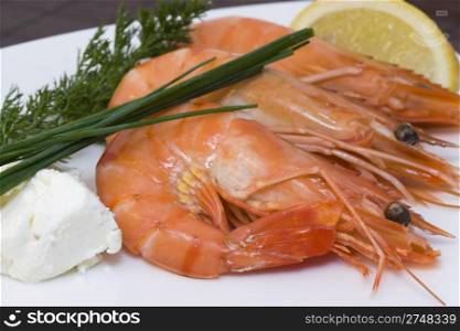 shrimps. photo of a plate with fresh shrimps and chive