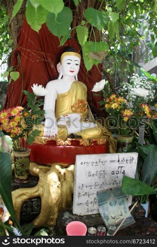 Shrine with statue Buddha under big tree in Yangon, Myanmar