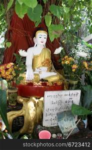Shrine with statue Buddha under big tree in Yangon, Myanmar