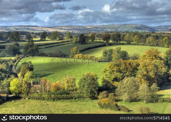 Shropshire countryside near Ludlow, England.
