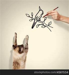 Siamese cat. Image of siamese cat catching drawn bird
