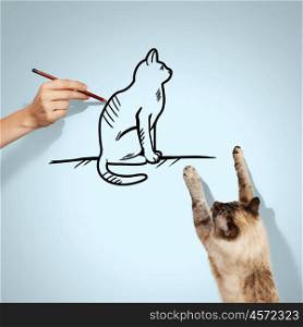Siamese cat. Image of siamese cat catching drawn cat