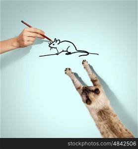 Siamese cat. Image of siamese cat catching drawn mouse