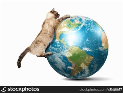 Siamese cat playing. Image of siamese cat playing with globe. Elements of this image are furnished by NASA