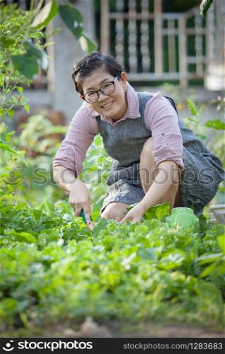 sian woman planting organic vegetable in home garden