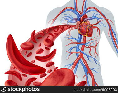 Sickle cell heart circulation and anemia as a disease with normal and abnormal hemoglobin in a human artery anatomy with heart cardiovascular medical illustration concept in a 3D render.