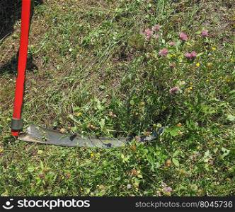 Sickle for grass cutting. Sickle agricultural tool with curved blade for cutting grass