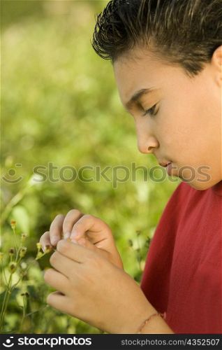 Side profile of a boy holding a wildflower