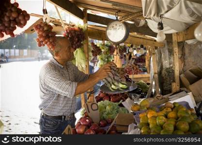 Side profile of a fruit seller weighing fruit, Santo Domingo, Dominican Republic