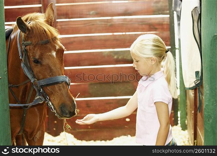 Side profile of a girl standing with a horse in a stable