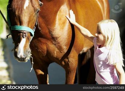 Side profile of a girl touching a horse