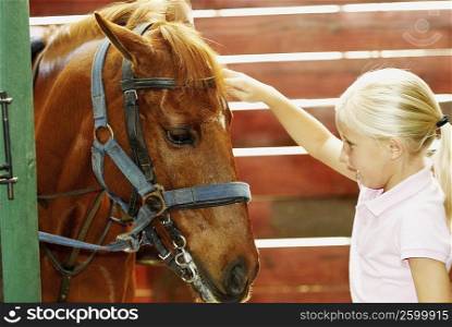 Side profile of a girl touching a horse in a stable