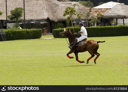 Side profile of a man playing polo