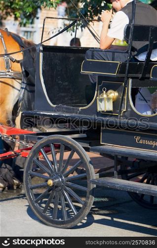 Side profile of a man sitting on a horse cart, Savannah, Georgia, USA
