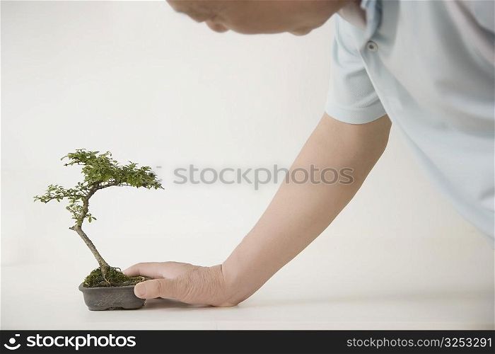 Side profile of a mature man holding a bonsai tree