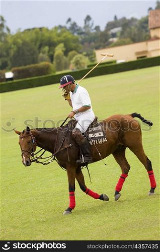 Side profile of a mature man playing polo