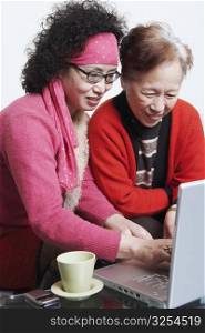 Side profile of a mature woman sitting with her friend using a laptop