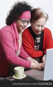 Side profile of a mature woman sitting with her friend using a laptop