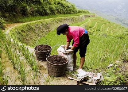 Side profile of a mature woman working in a field, Jinkeng Terraced Field, Guangxi Province, China