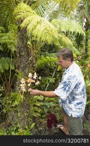 Side profile of a mid adult man touching flowers in a forest, Hilo, Big Island, Hawaii Islands, USA