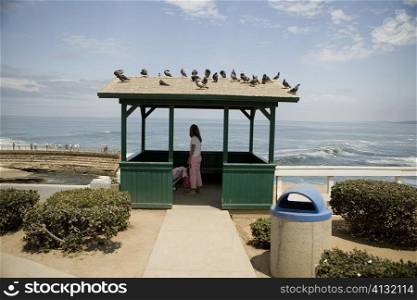 Side profile of a woman standing in a gazebo at the waterfront, La Jolla, San Diego, California, USA