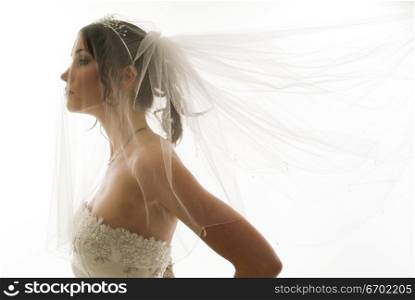 Side profile of a young bride wearing a veil