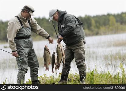 Side profile of two mature men holding fish