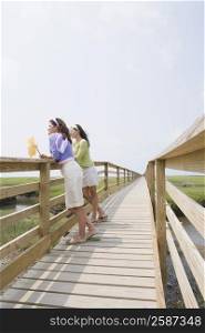 Side profile of two mature women standing on a wooden bridge