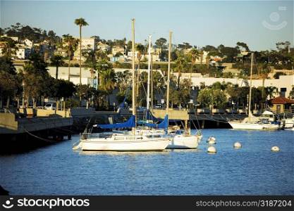 Side profile of yacht&acute;s docked at a harbor, San Diego Bay, California, USA
