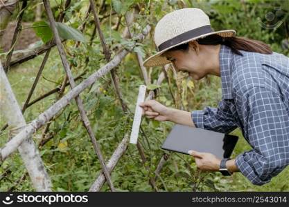 side view asian woman studying different plants with tablet