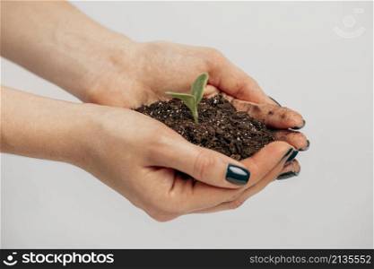 side view female hands holding soil little plant