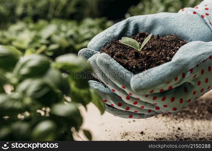 side view hands with gloves holding soil plant