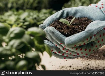 side view hands with gloves holding soil plant