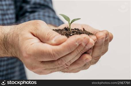 side view male hands holding soil little plant