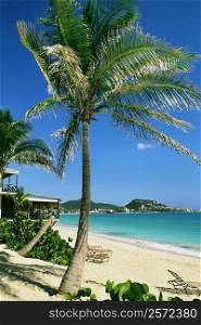 Side view of a calm beach, St. Martin, Caribbean