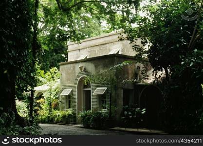 Side view of a house surrounded by dense tropical vegetation, Barbados