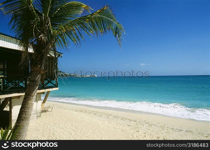 Side view of a vast and calm beach , St. Maarten, Caribbean