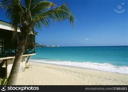 Side view of a vast and calm beach , St. Maarten, Caribbean