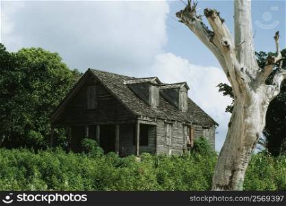 Side view of an abandoned house amidst greenery, Southern Eleuthera, Bahamas