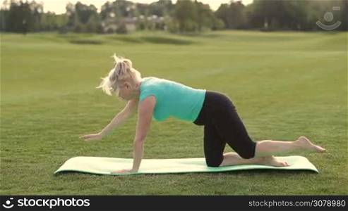 Side view of beautiful sporty adult woman in sports clothes practicing yoga poses in park. Charming fit female doing bird dog balance exercise, downward and upward facing dog, finishing workout sitting in child pose on exercise mat outdoors.