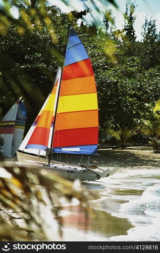Side view of brightly colored sails on windsurf boards, Jamaica