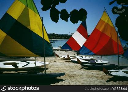 Side view of brightly colored sails on windsurf boards, Jamaica